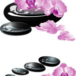 Spa Stones and Orchid flowers