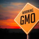 GMO on Warning Road Sign.