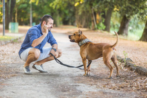 Man with his dog 