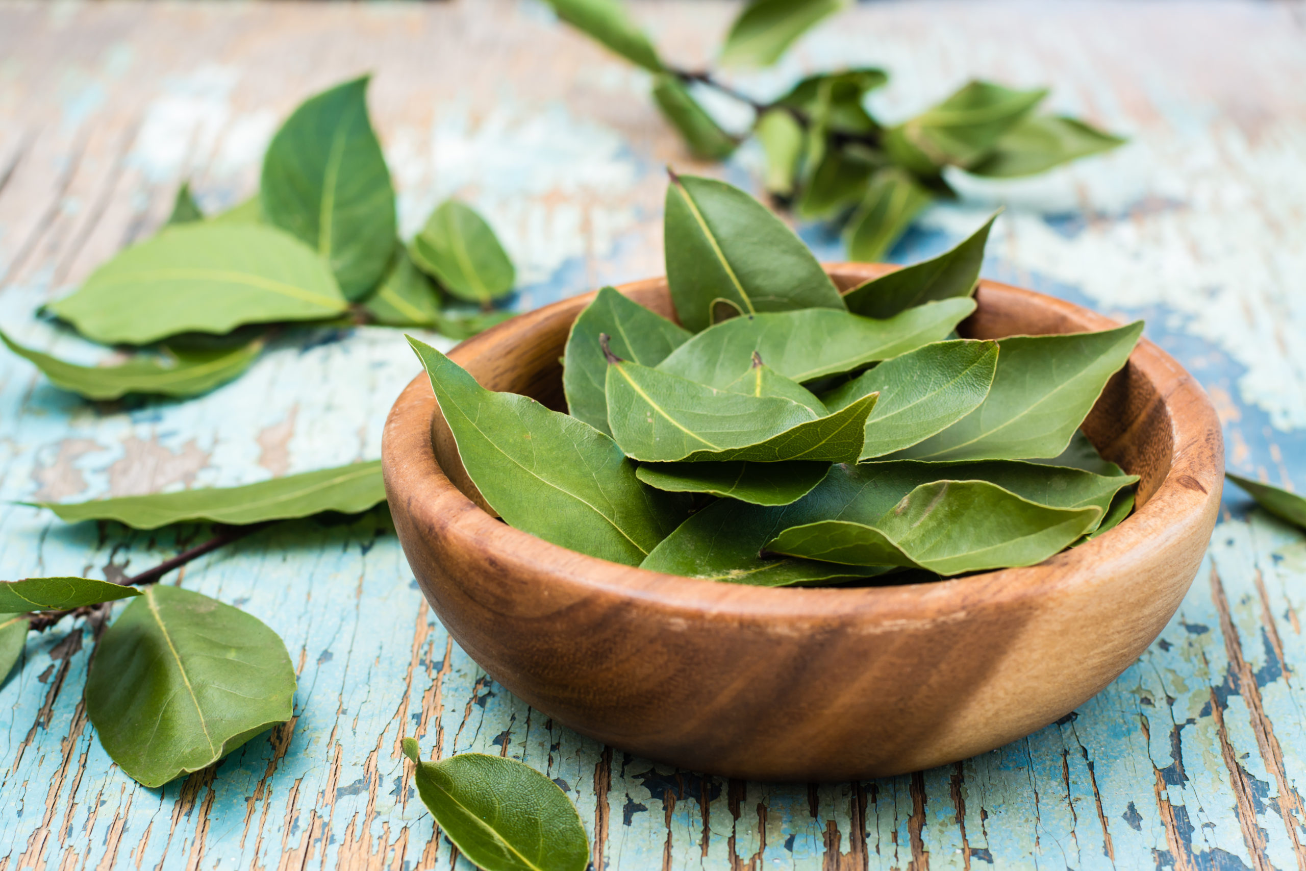 Are Bay Leaves Healthy for You?